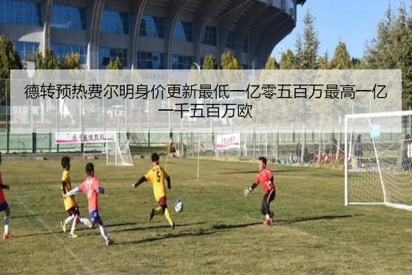 德转预热费尔明身价更新最低一亿零五百万最高一亿一千五百万欧